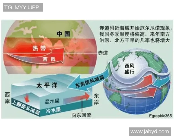 阿里纳斯条款对NBA球员薪资结构的影响及其未来发展趋势分析