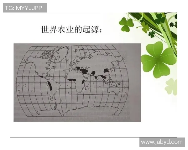 竞技体育的定义与发展探析:从历史渊源到现代竞技竞技精神的演变