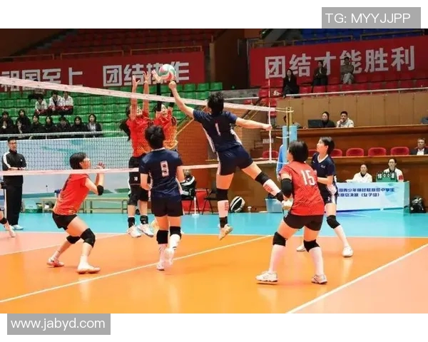 重庆排球队的力量揭秘：排球巨献背后的拼搏与荣耀